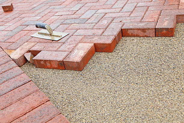 Best Driveway Paving Contractor  in Little Falls, MN